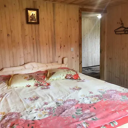 дімона Apartment *