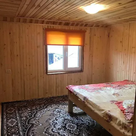 дімона Apartment *