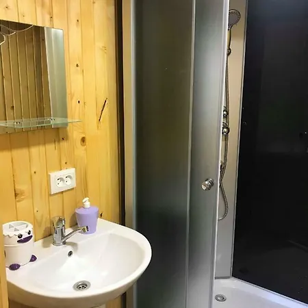 дімона